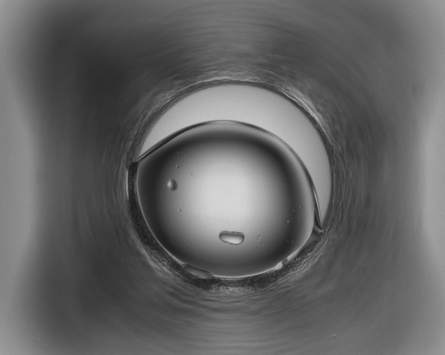 X0000116660205200912211514