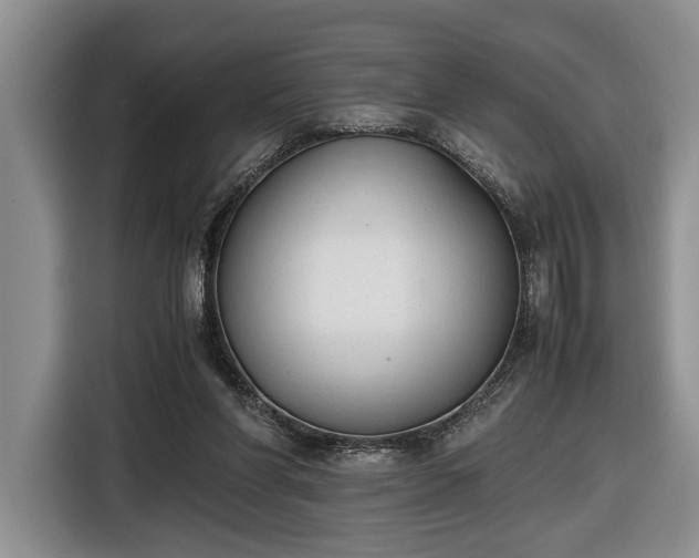 X0000116660206200912211514