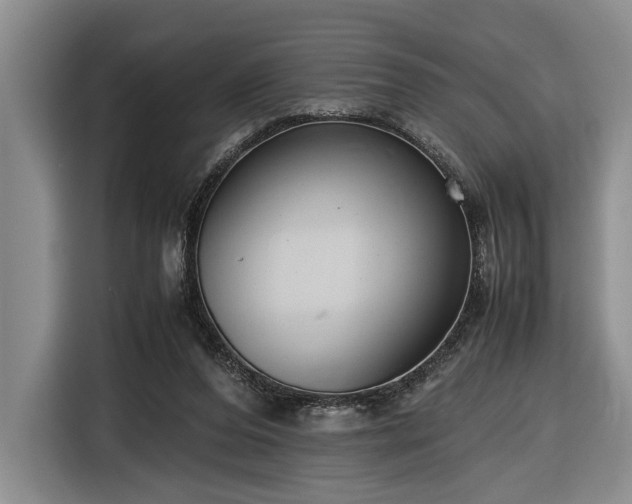 X0000116660208200912211514