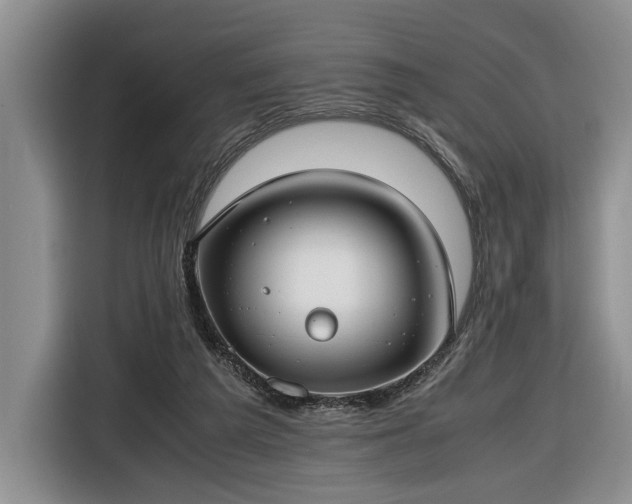 X0000116660209200912211514