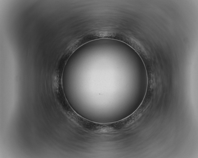 X0000116660210200912211514