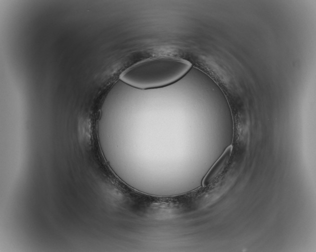 X0000116660211200912211514