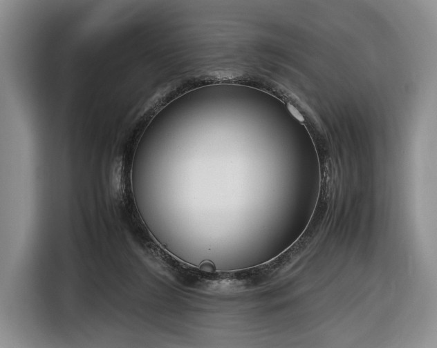 X0000116660212200912211514