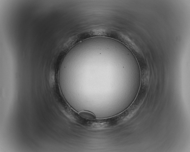 X0000116660213200912211514