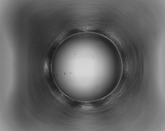 X0000116660214200912211514