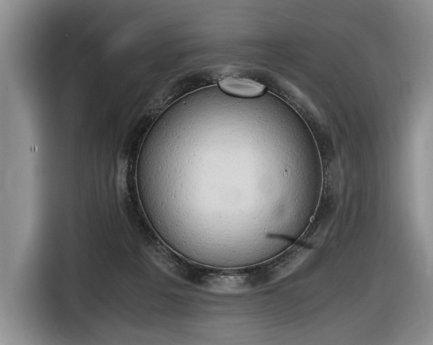 X0000116660217200912211514