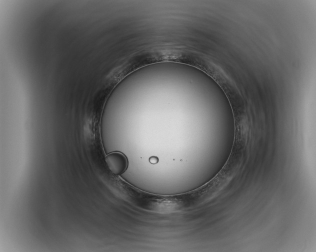 X0000116660218200912211514