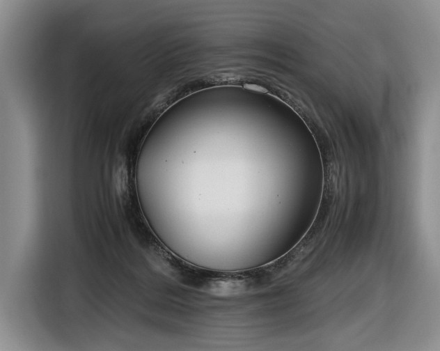 X0000116660220200912211513