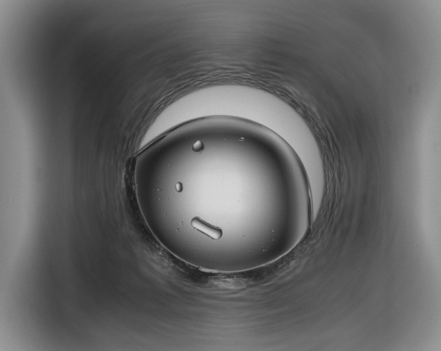 X0000116660221200912211513