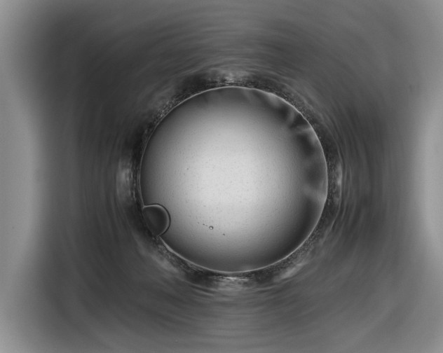 X0000116660222200912211513