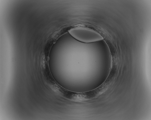 X0000116660223200912211513