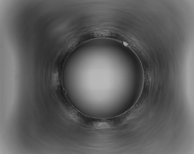 X0000116660224200912211513