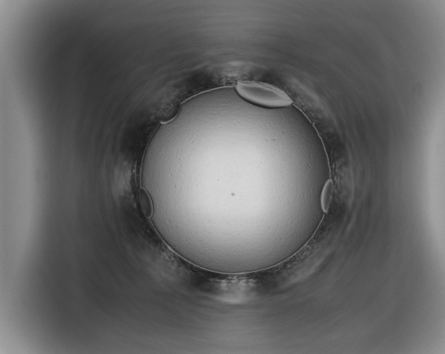 X0000116660225200912211513