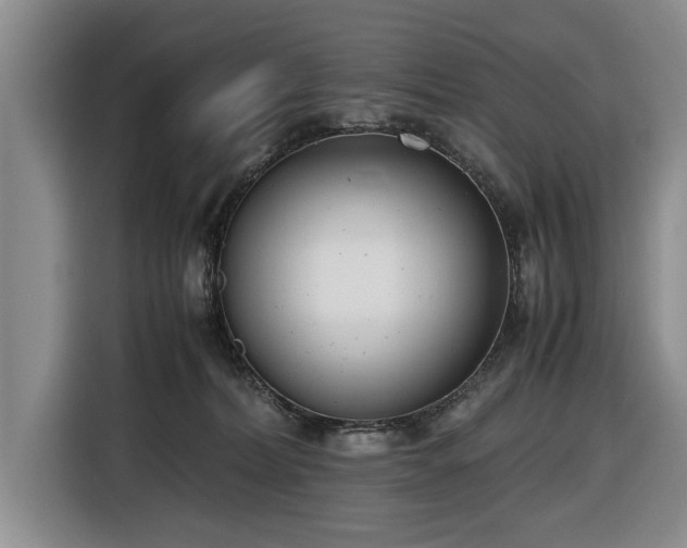 X0000116660228200912211513