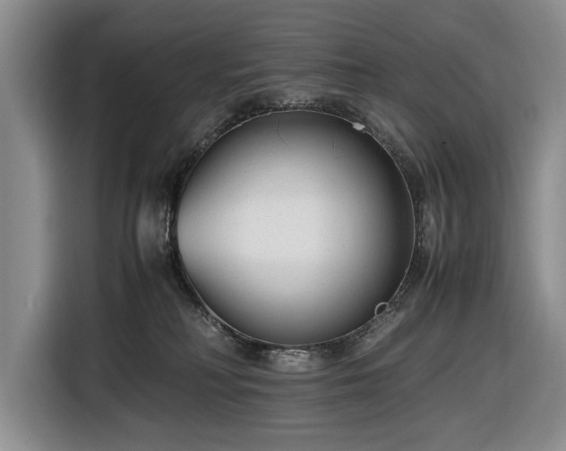 X0000116660230200912211513