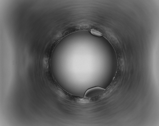 X0000116660232200912211513