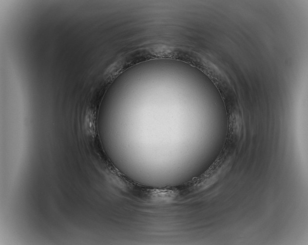 X0000116660234200912211513