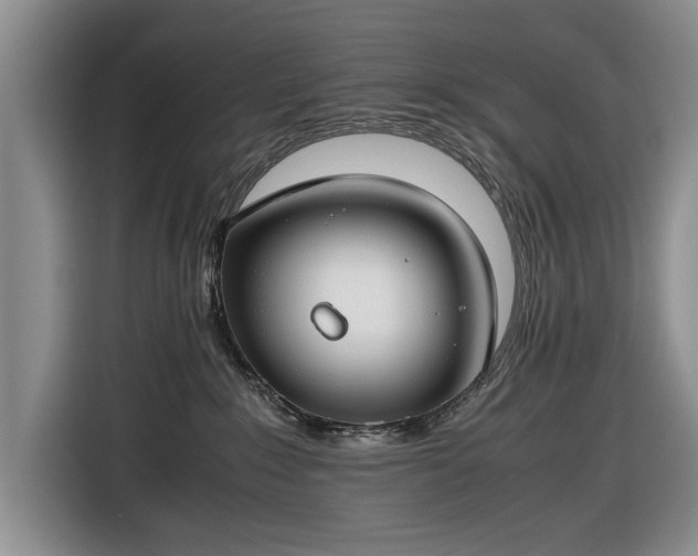 X0000116660235200912211513