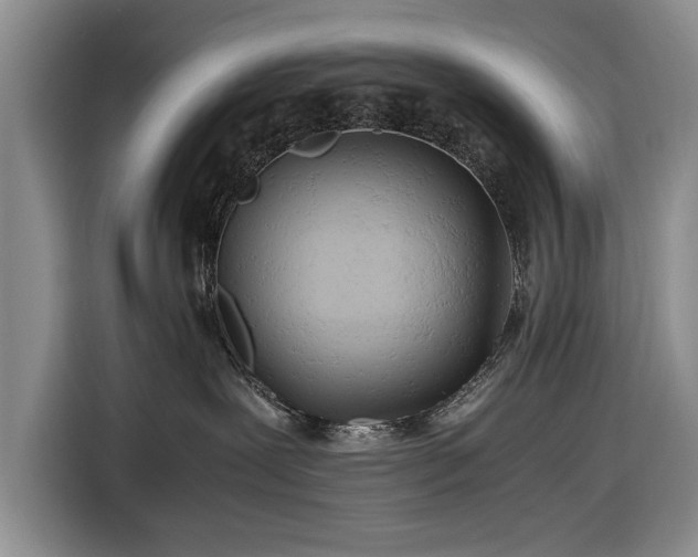 X0000116660239200912211513