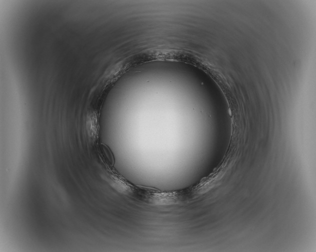 X0000116660240200912211513