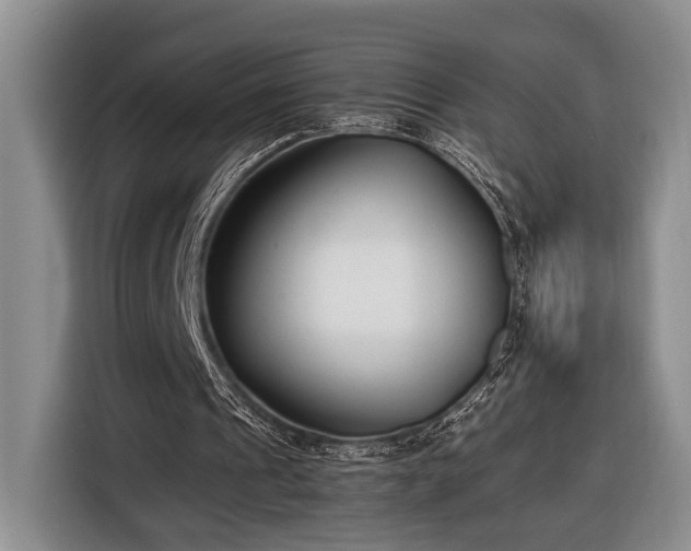 X0000116660241200912211513