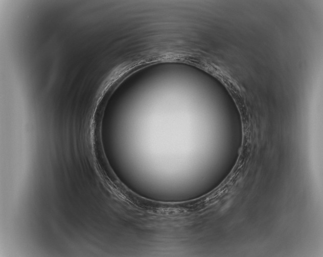 X0000116660242200912211513