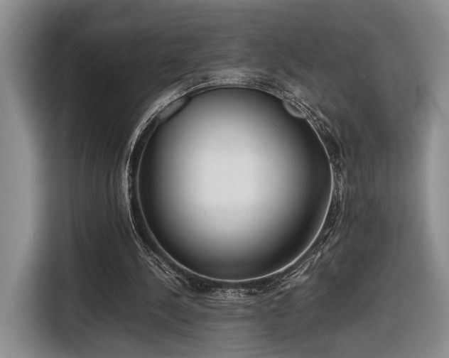 X0000116660244200912211513