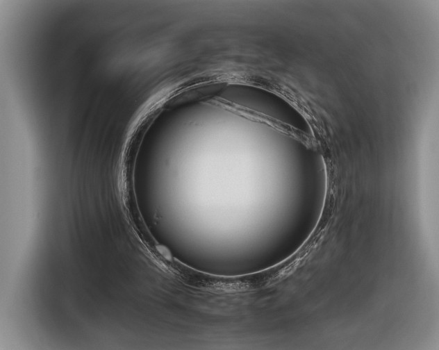 X0000116660245200912211513