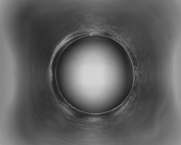 X0000116660246200912211513