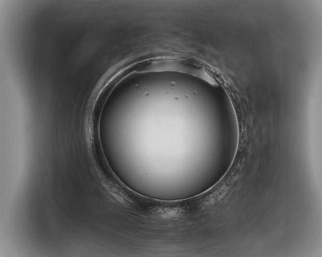 X0000116660247200912211513