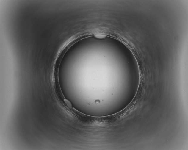 X0000116660248200912211513