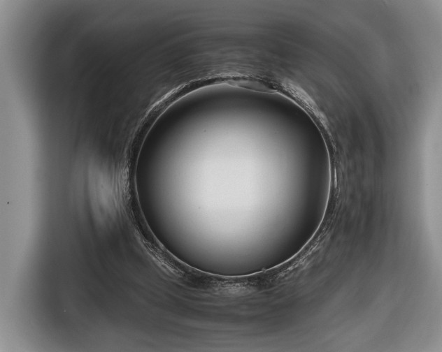 X0000116660249200912211513