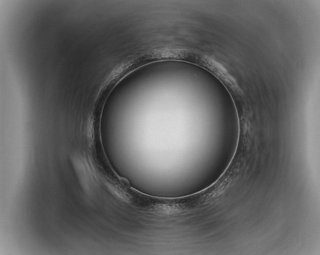 X0000116660250200912211513