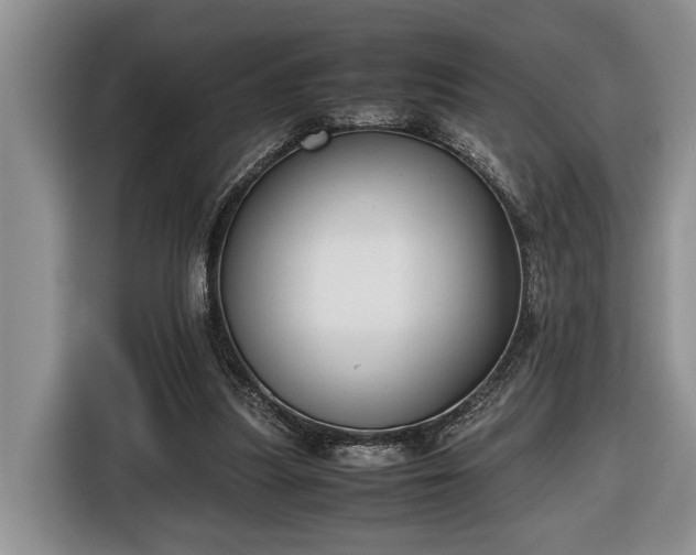 X0000116660251200912211513