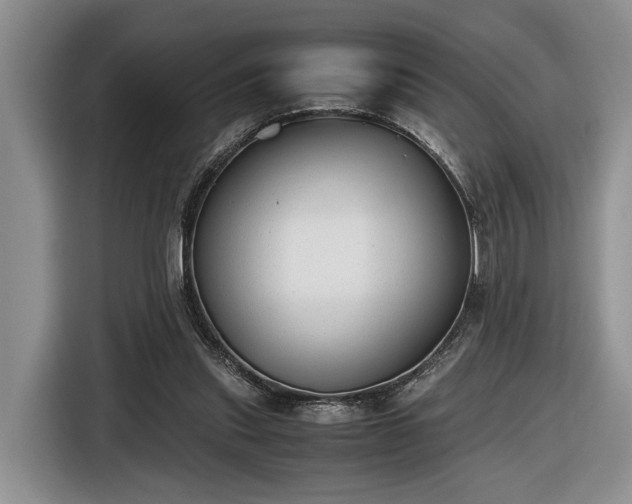 X0000116660253200912211513