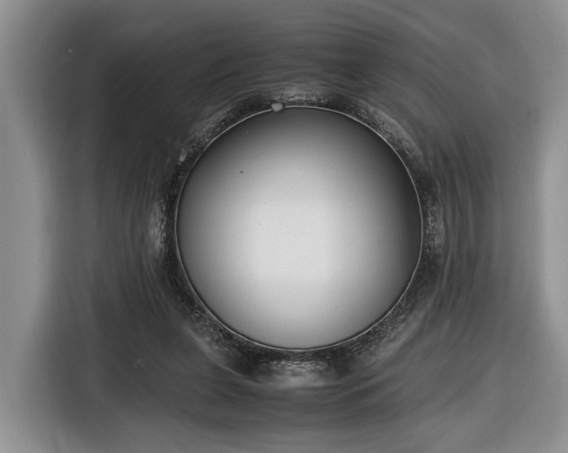 X0000116660255200912211513