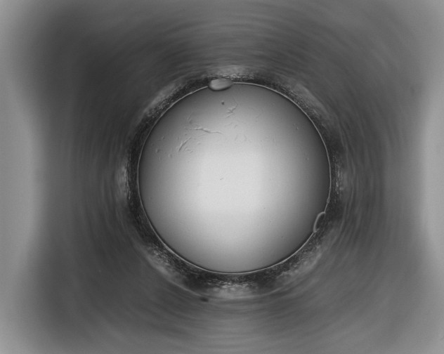 X0000116660256200912211513