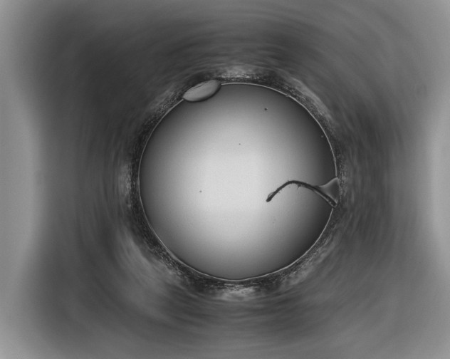 X0000116660257200912211513