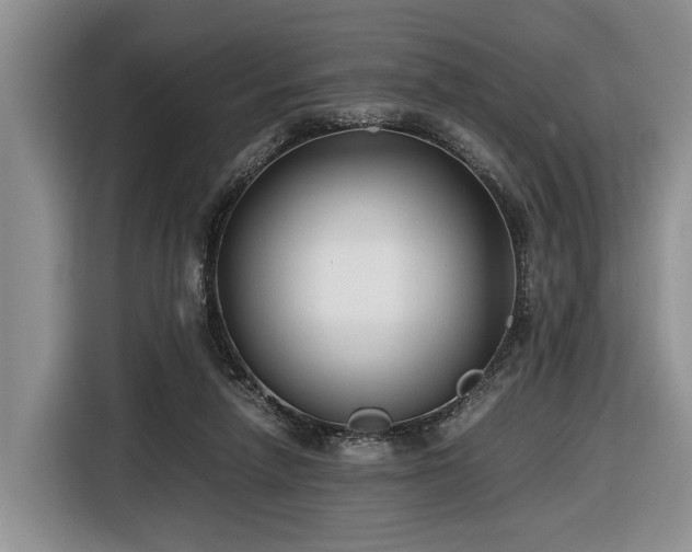 X0000116660258200912211513