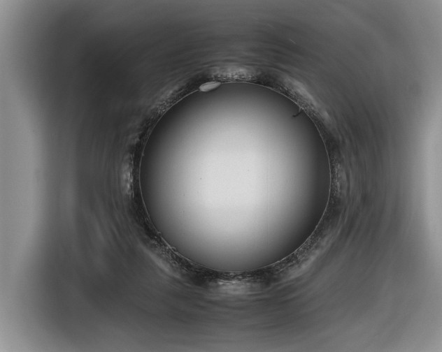 X0000116660259200912211513