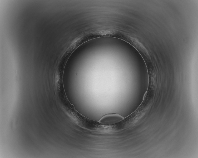 X0000116660260200912211513