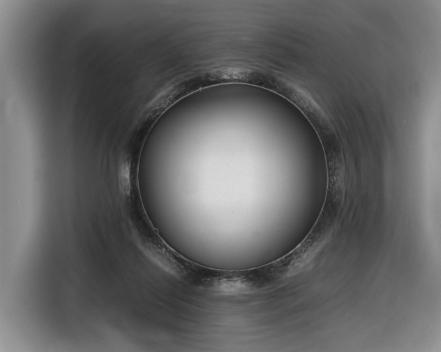 X0000116660262200912211513