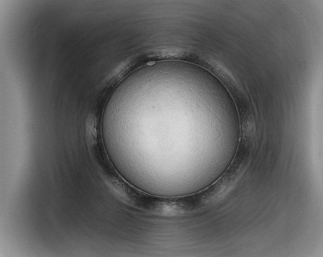 X0000116660264200912211513