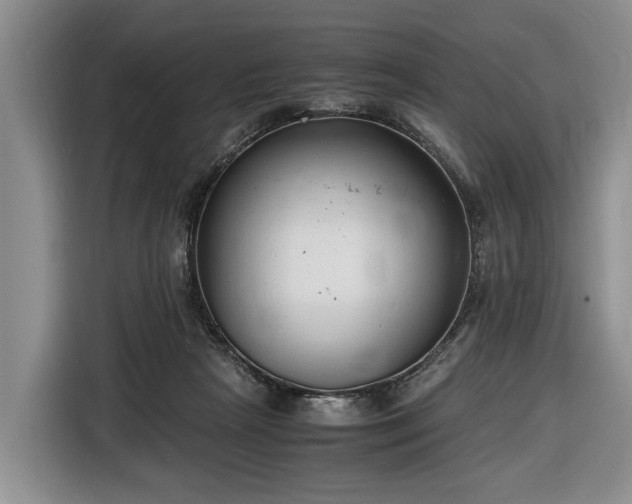 X0000116660265200912211513