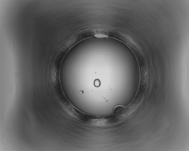 X0000116660266200912211513