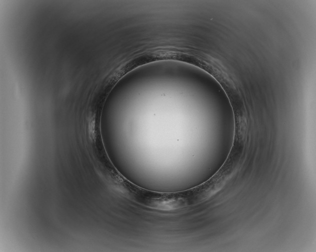 X0000116660267200912211513