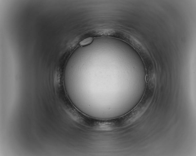 X0000116660268200912211513