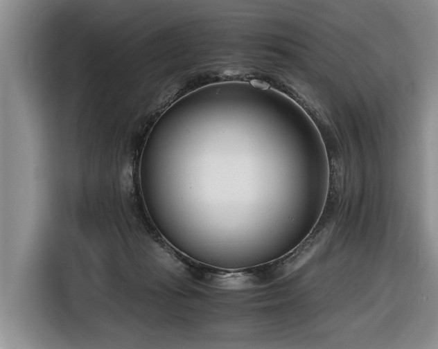 X0000116660269200912211513