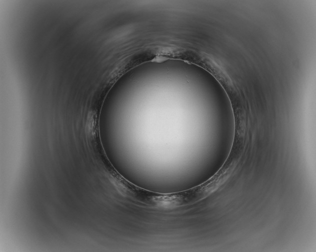 X0000116660273200912211513