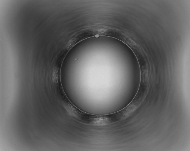 X0000116660274200912211513